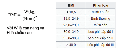 BMI chỉ số khối cơ thể