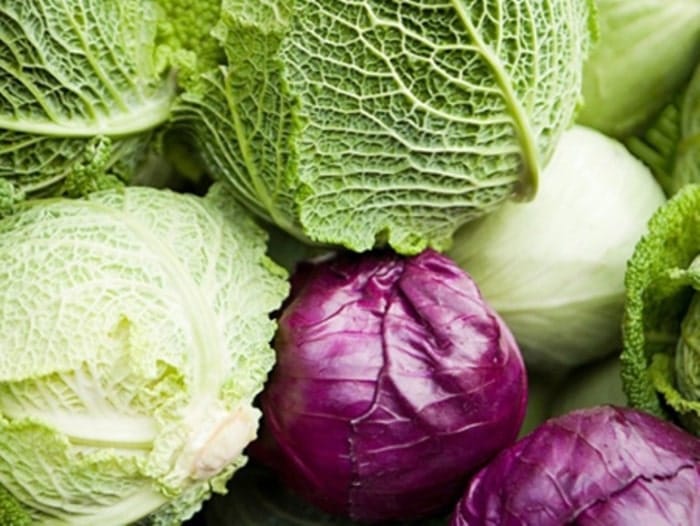 Rau bắp cải luộc là món ăn yêu thích trong thực đơn giảm cân với rau luộc